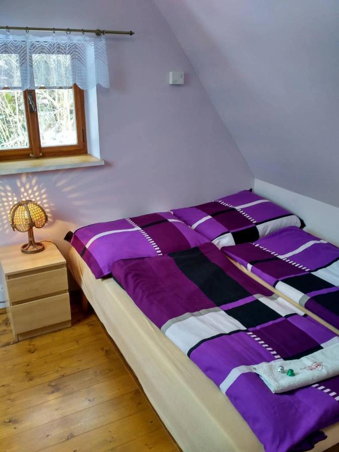 Apartma Doubek Rokytnice nad Jizerou Dış mekan fotoğraf